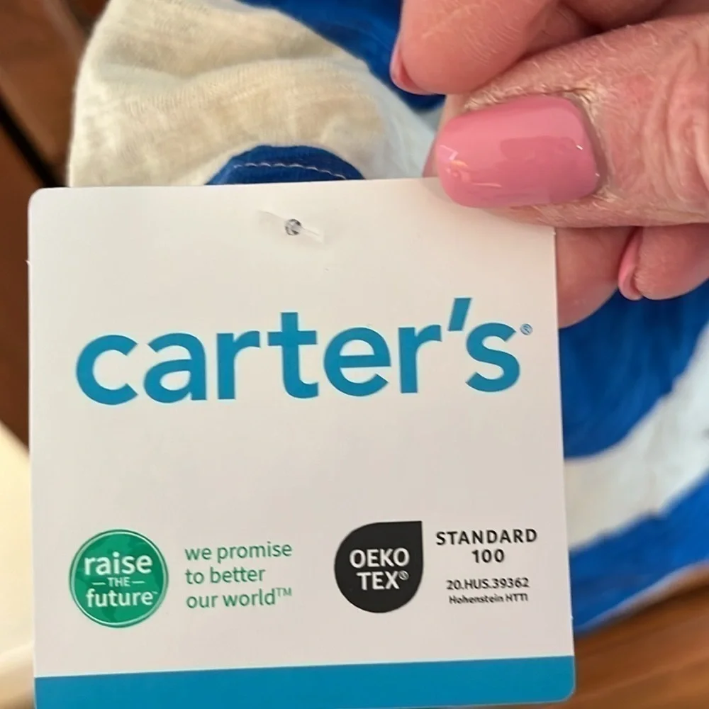 Carter’s Baby Boy Blue And Cream Hooded Top Size 9 Months NWT